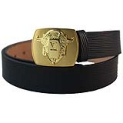 Louis Vuitton Belts-71